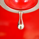 How Pharmaton Enhances Nutrient Absorption