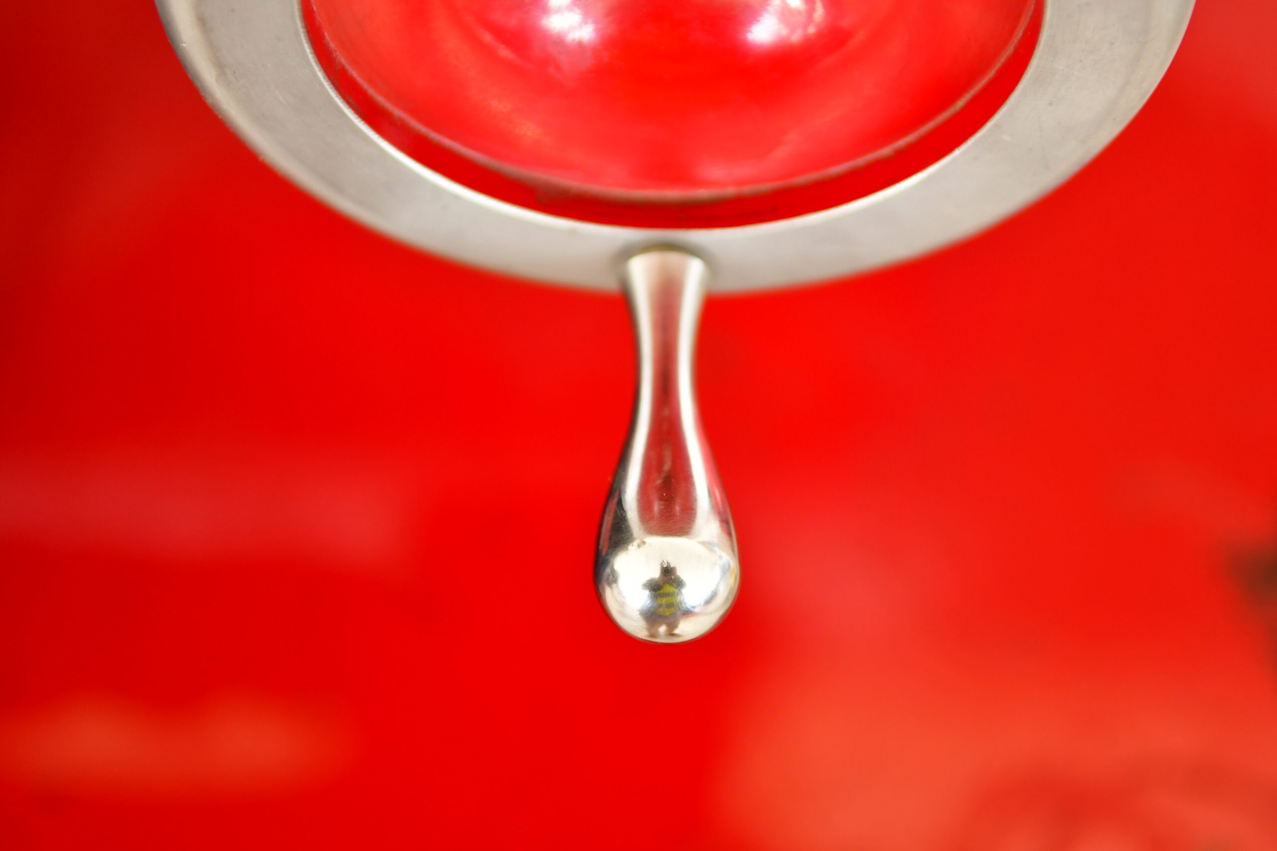 How Pharmaton Enhances Nutrient Absorption